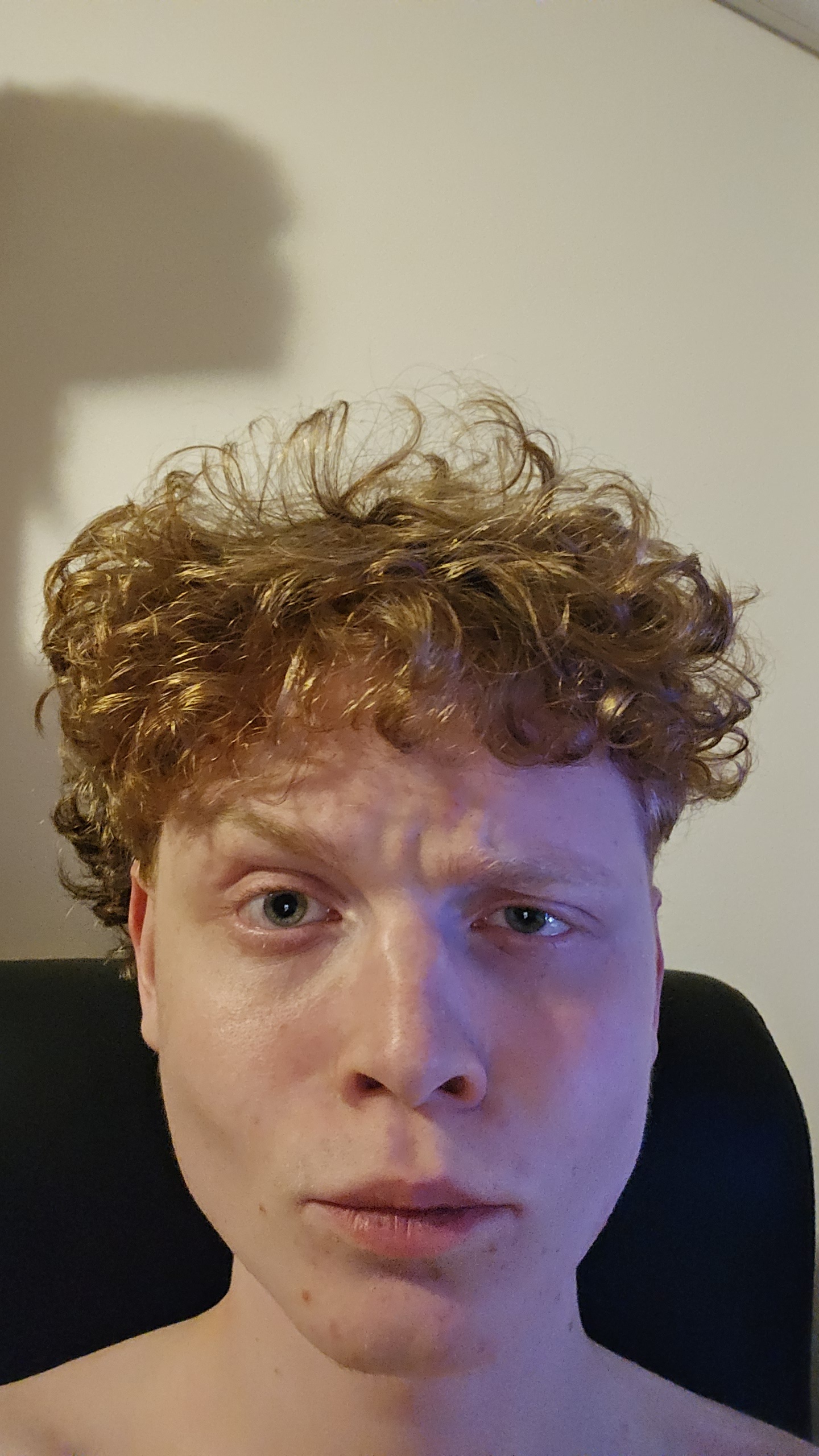 Jan Novák - Lead Developer